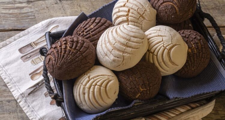 CONCHAS MEXICANAS